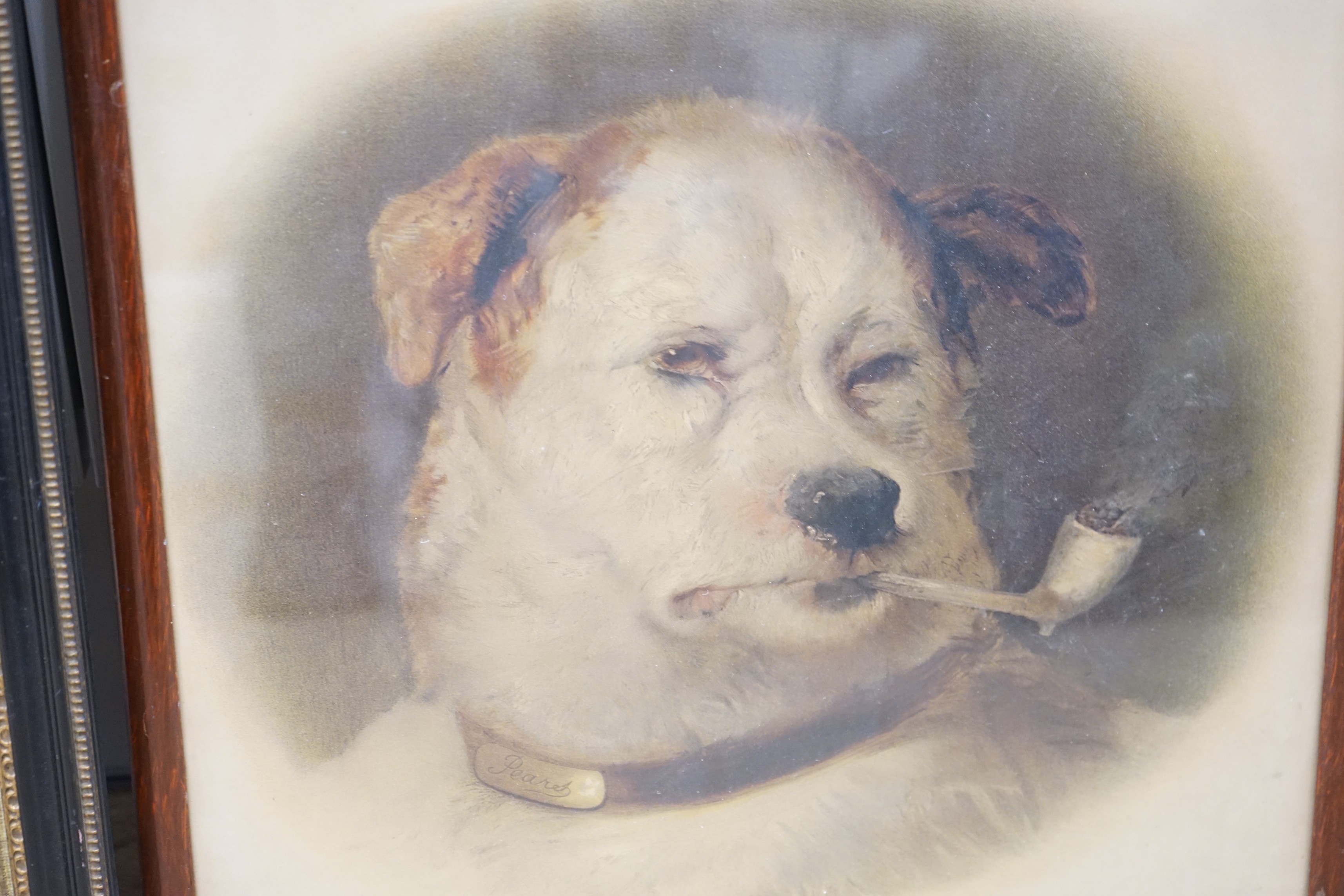 EGW 1930, oil on canvas, Study of a hound's head, initialled and dated, 37 x 30cm and a Pears chromolithograph of a dog smoking a pipe